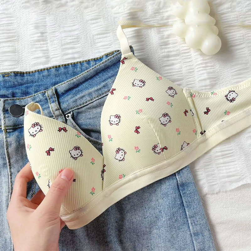 hello kitty bra
